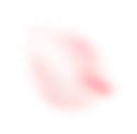 花びら