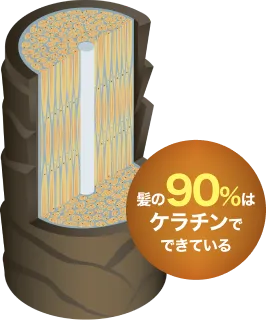 症例写真