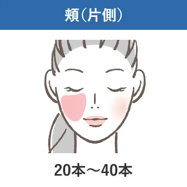 頬(片側)
