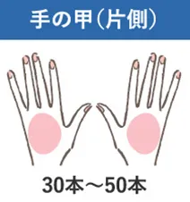 ヒザ(片側)