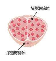 注入前