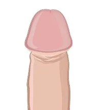 注入・再生後