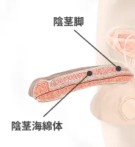 注入前