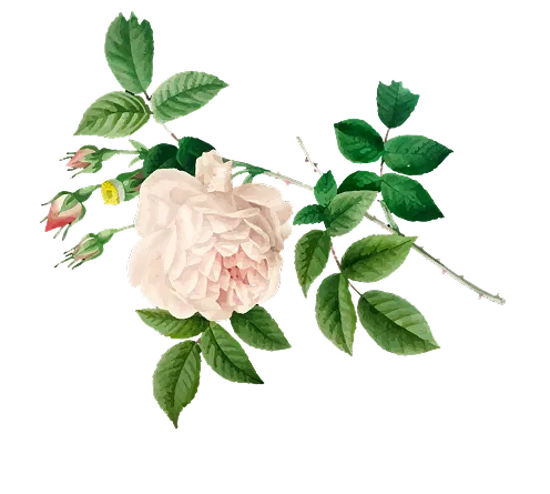花